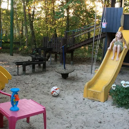 Lueneburger Heide *