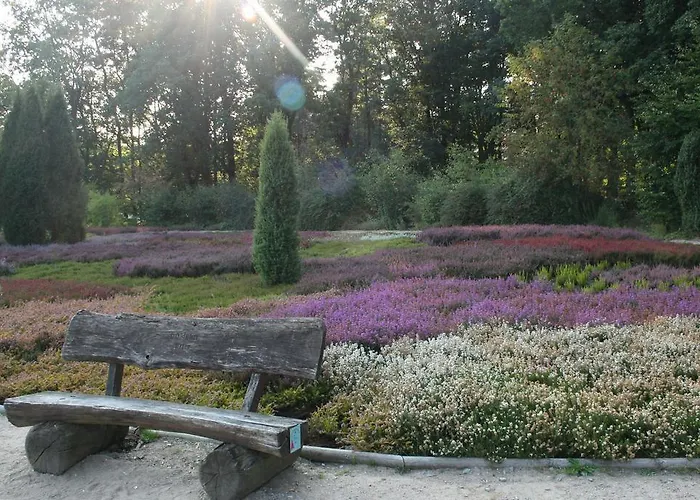 Lueneburger Heide Daire *