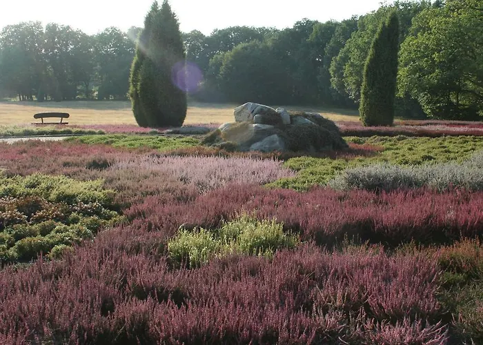 Lueneburger Heide Daire Schneverdingen