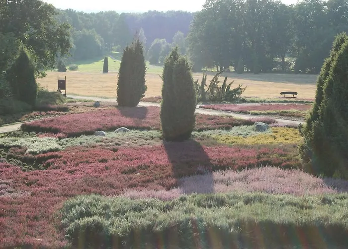 Lueneburger Heide Daire
