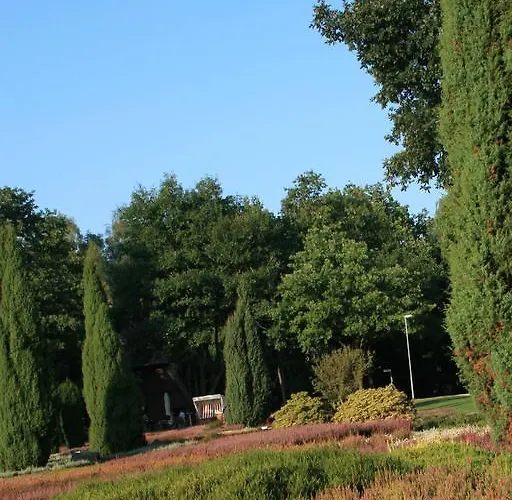 Lueneburger Heide Daire *